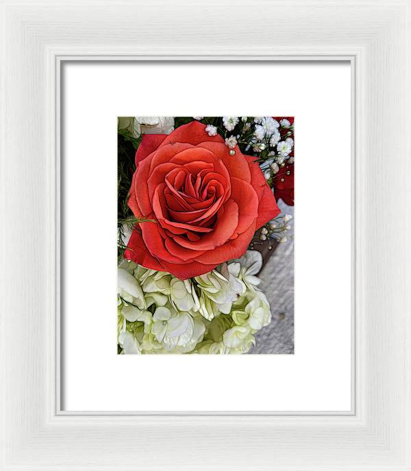 November Flowers 3 - Framed Print