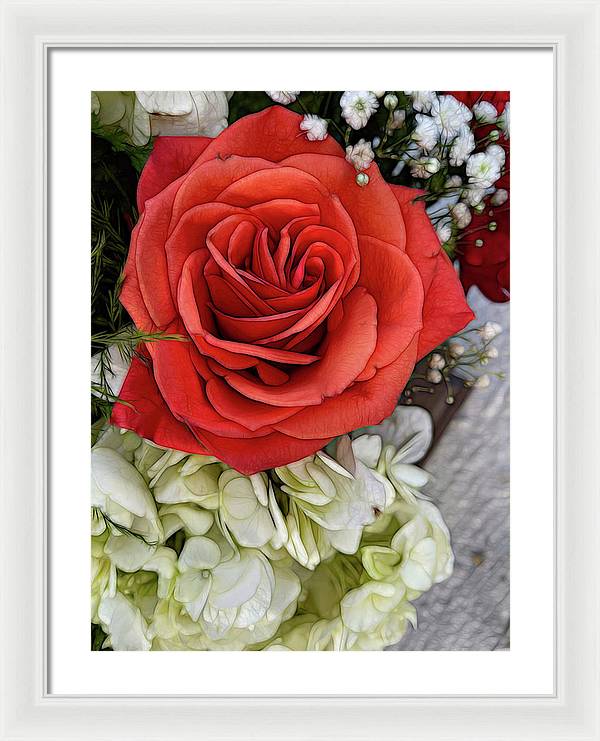 November Flowers 3 - Framed Print