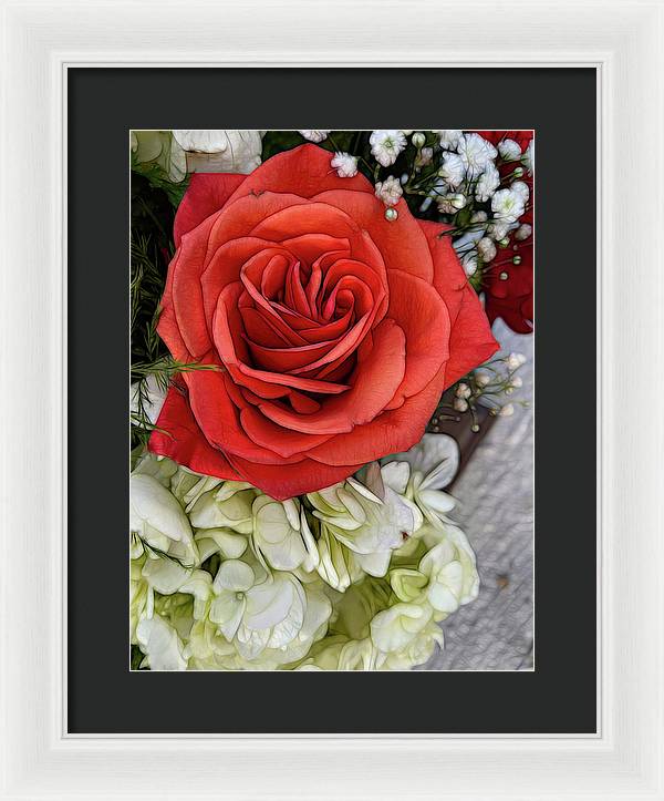 November Flowers 3 - Framed Print