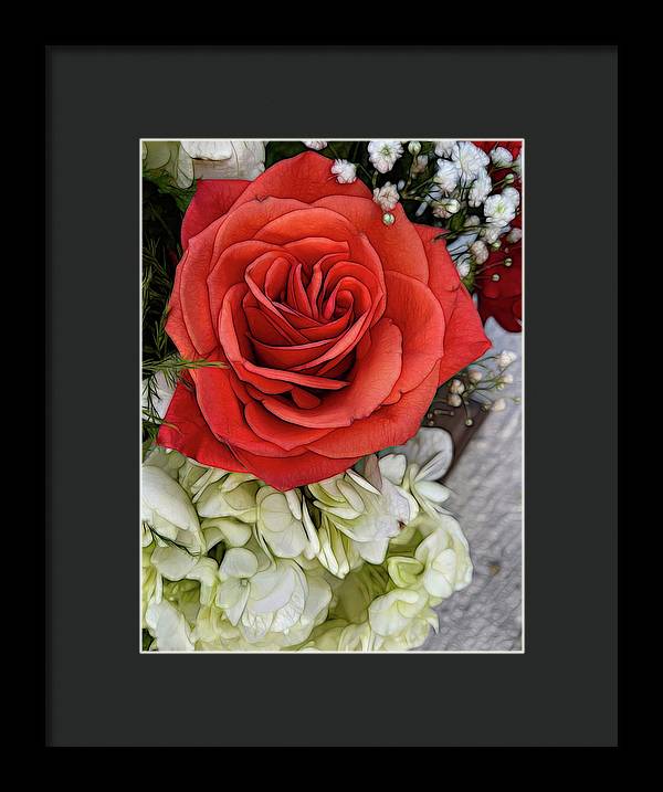 November Flowers 3 - Framed Print