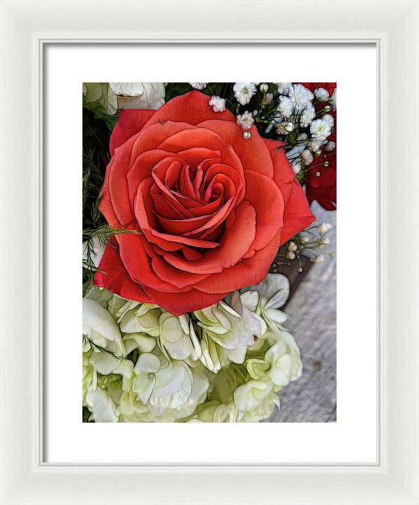 November Flowers 3 - Framed Print