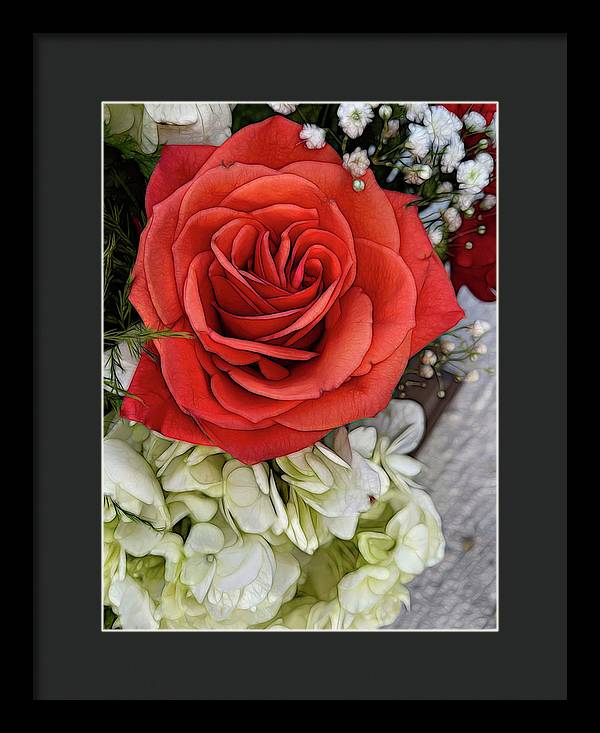 November Flowers 3 - Framed Print