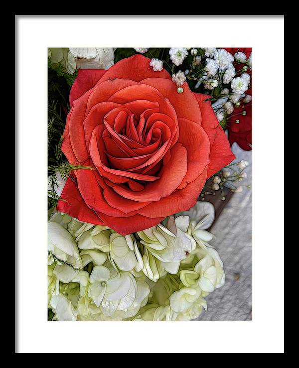 November Flowers 3 - Framed Print