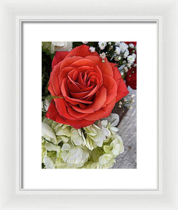 November Flowers 3 - Framed Print