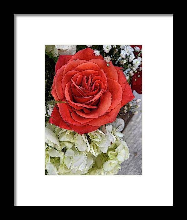 November Flowers 3 - Framed Print