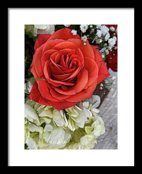 November Flowers 3 - Framed Print