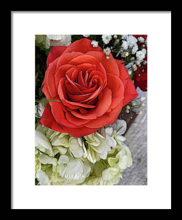 November Flowers 3 - Framed Print