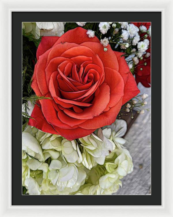 November Flowers 3 - Framed Print