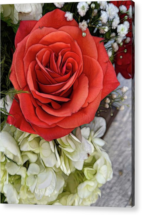 November Flowers 3 - Acrylic Print