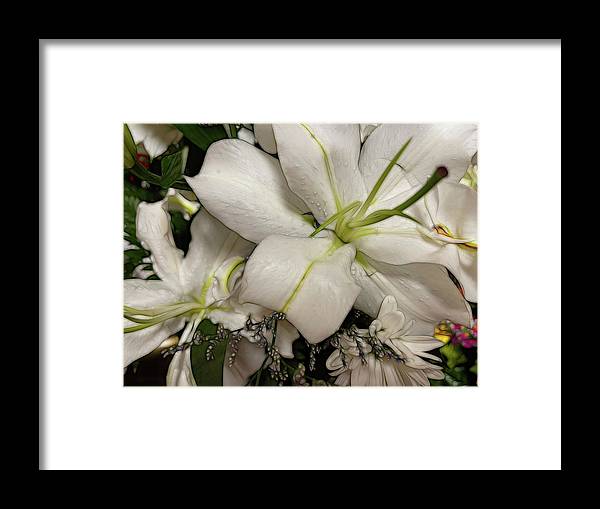 November Flowers 5 - Framed Print