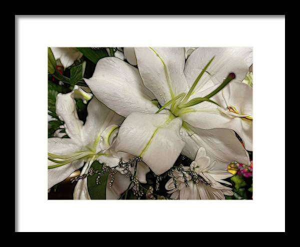 November Flowers 5 - Framed Print