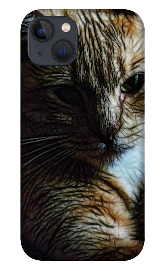 Orange Cat - Phone Case