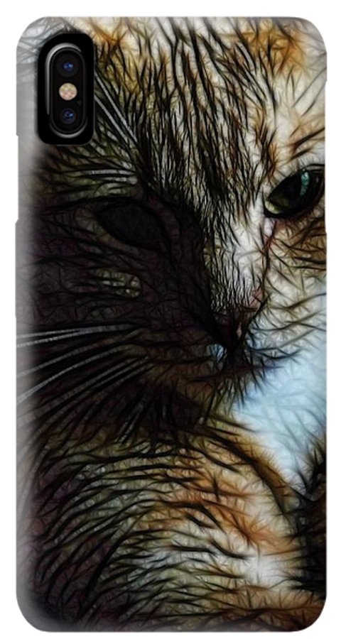 Orange Cat - Phone Case