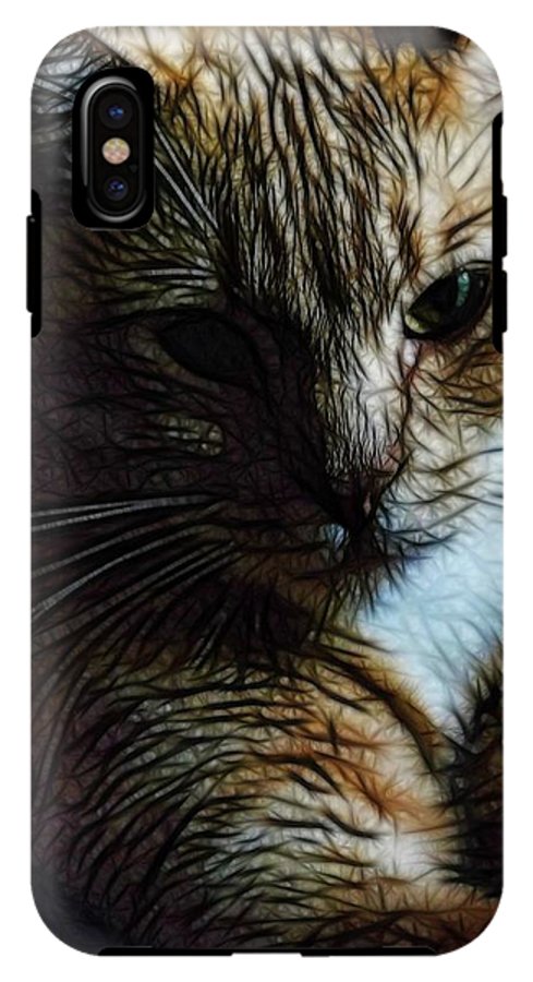 Orange Cat - Phone Case