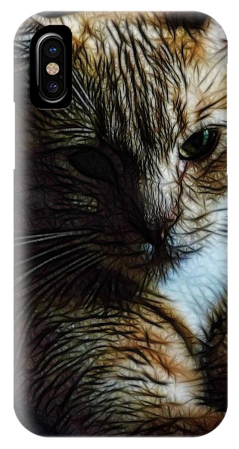 Orange Cat - Phone Case