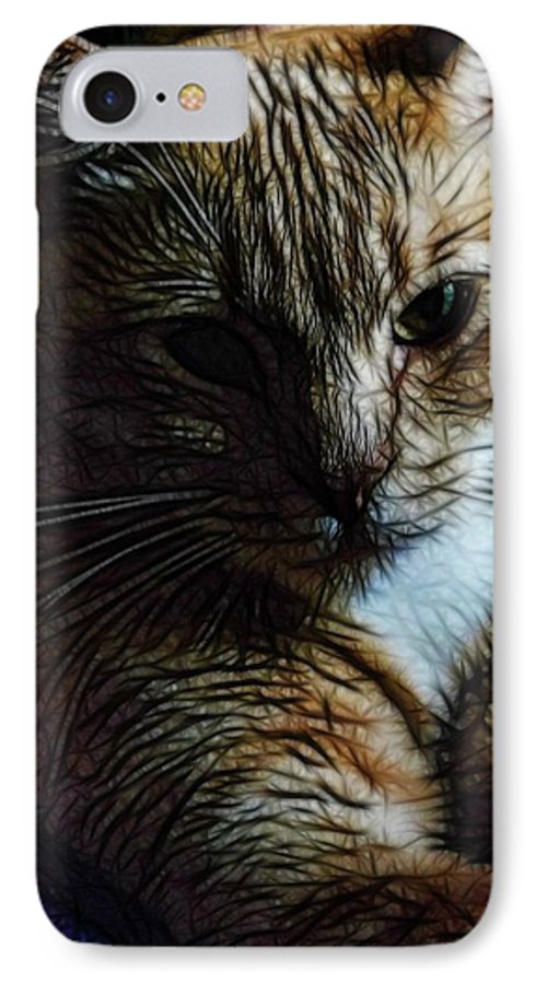 Orange Cat - Phone Case