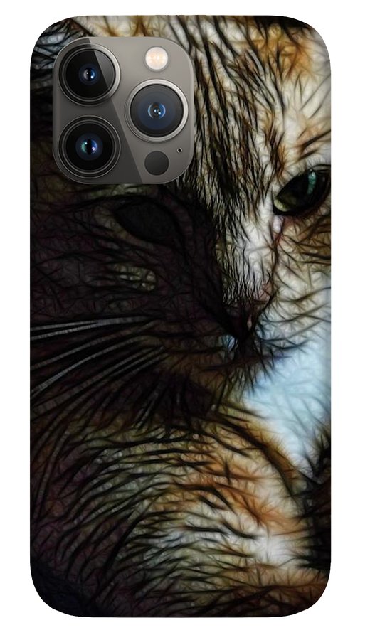 Orange Cat - Phone Case