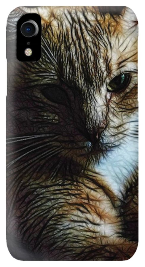 Orange Cat - Phone Case