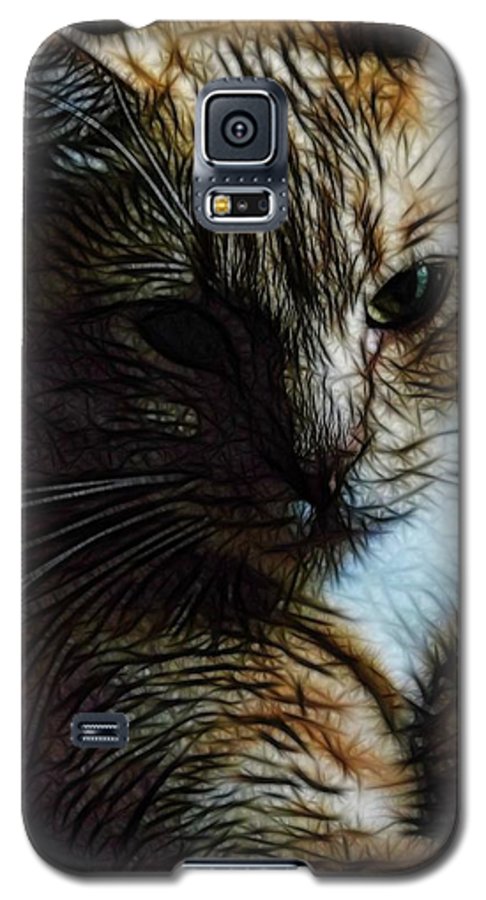 Orange Cat - Phone Case