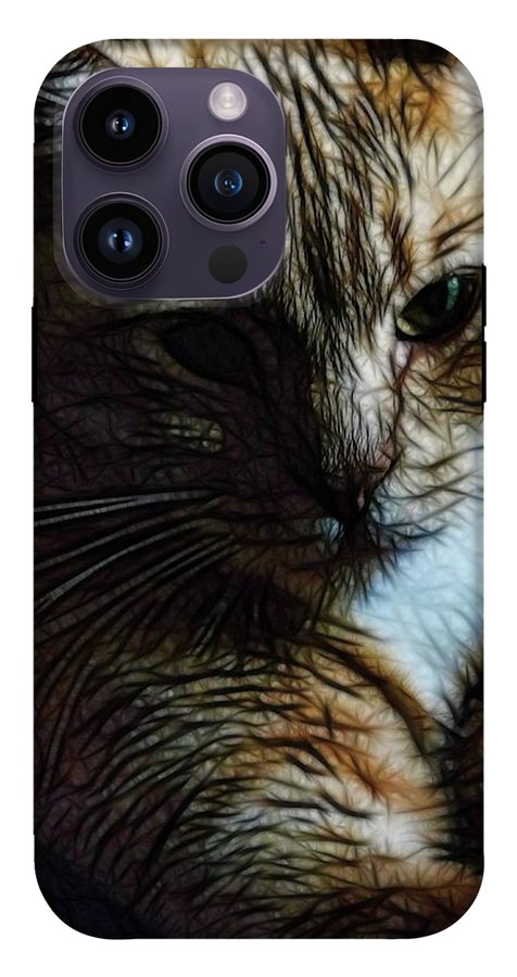 Orange Cat - Phone Case