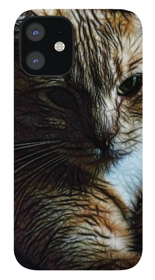 Orange Cat - Phone Case