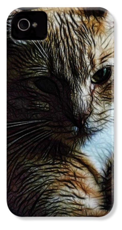 Orange Cat - Phone Case