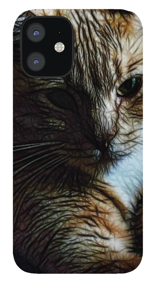 Orange Cat - Phone Case