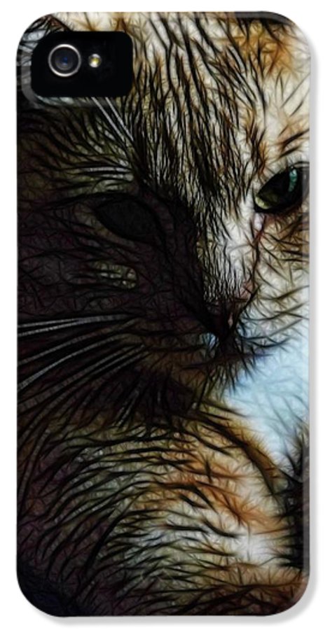 Orange Cat - Phone Case