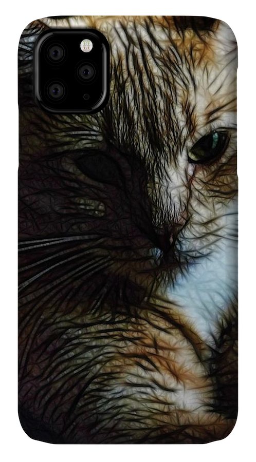 Orange Cat - Phone Case