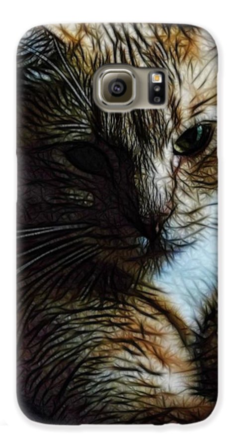 Orange Cat - Phone Case