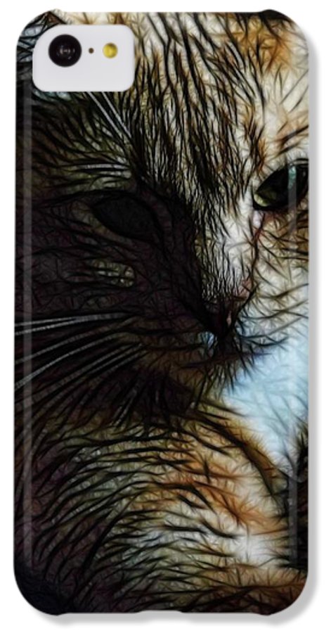 Orange Cat - Phone Case