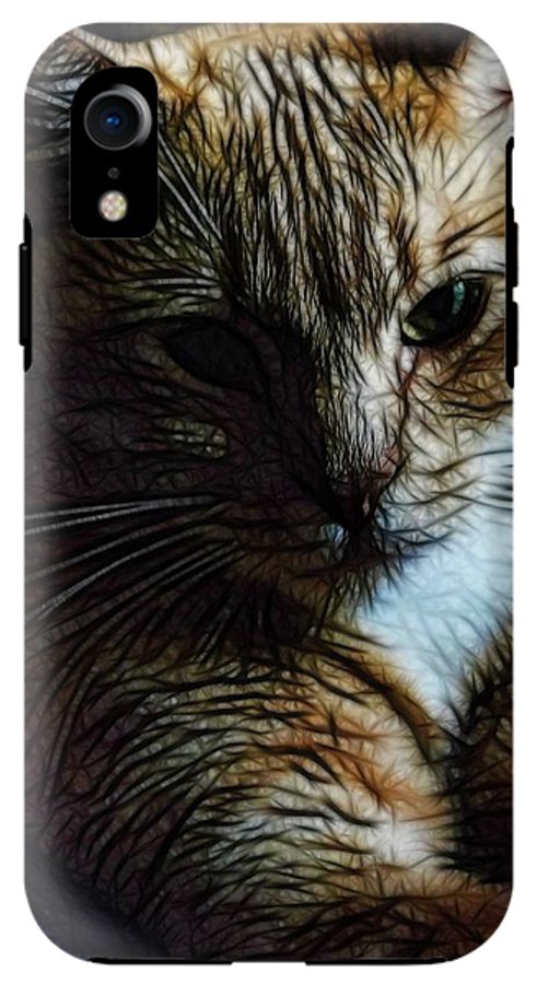 Orange Cat - Phone Case