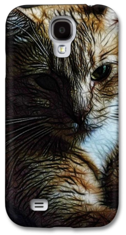 Orange Cat - Phone Case