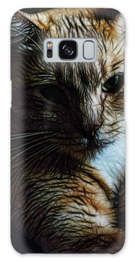 Orange Cat - Phone Case