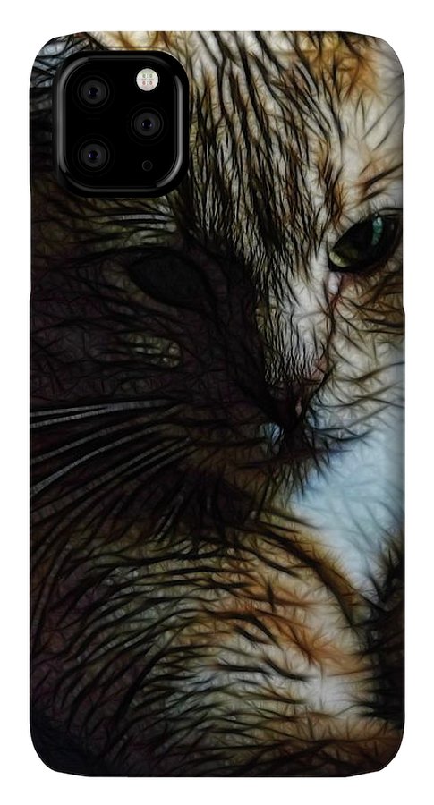 Orange Cat - Phone Case