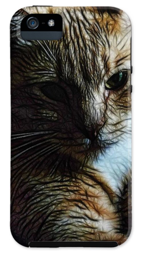 Orange Cat - Phone Case