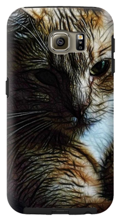 Orange Cat - Phone Case