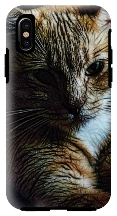 Orange Cat - Phone Case