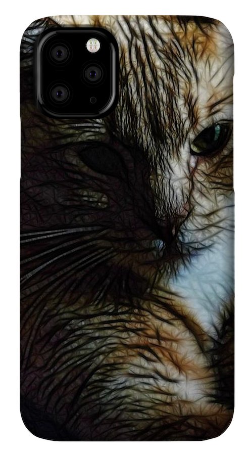 Orange Cat - Phone Case