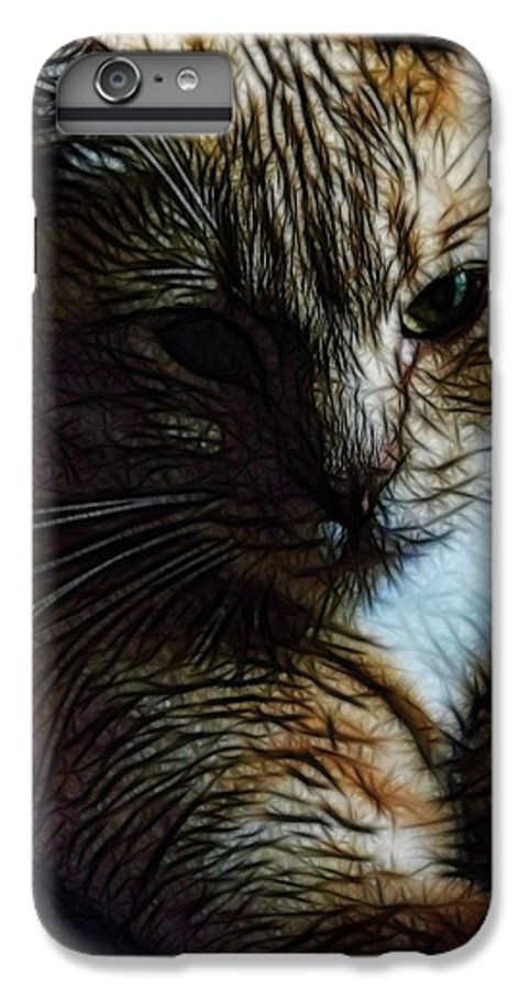 Orange Cat - Phone Case