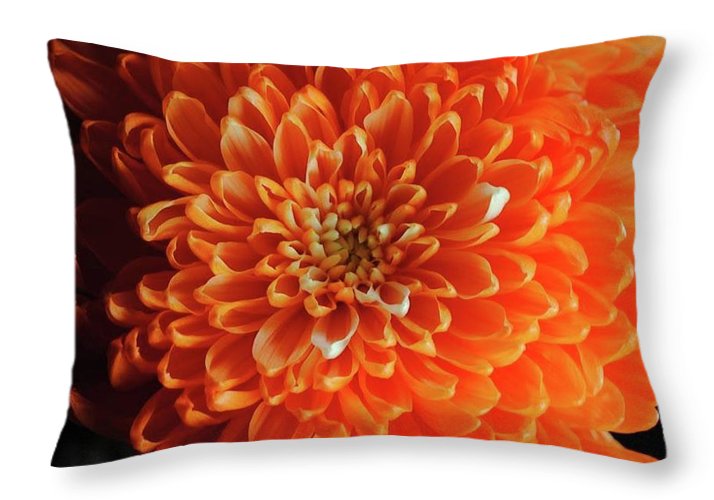 Orange Chrysanthemum - Throw Pillow