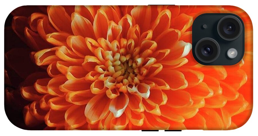Orange Chrysanthemum - Phone Case