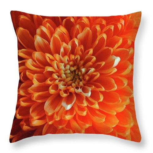 Orange Chrysanthemum - Throw Pillow
