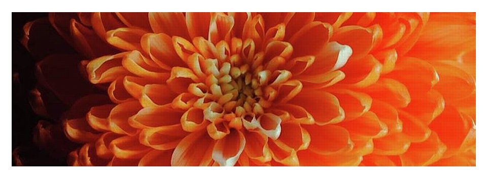 Orange Chrysanthemum - Yoga Mat