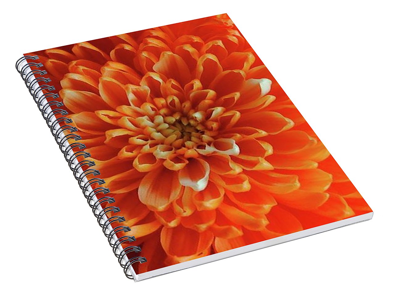 Orange Chrysanthemum - Spiral Notebook
