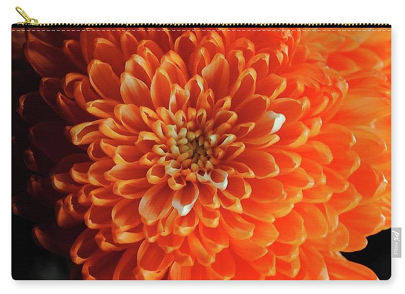 Orange Chrysanthemum - Carry-All Pouch