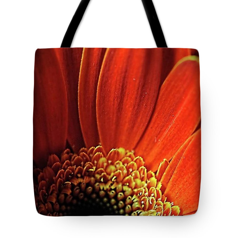 Orange Daisy Close Up - Tote Bag