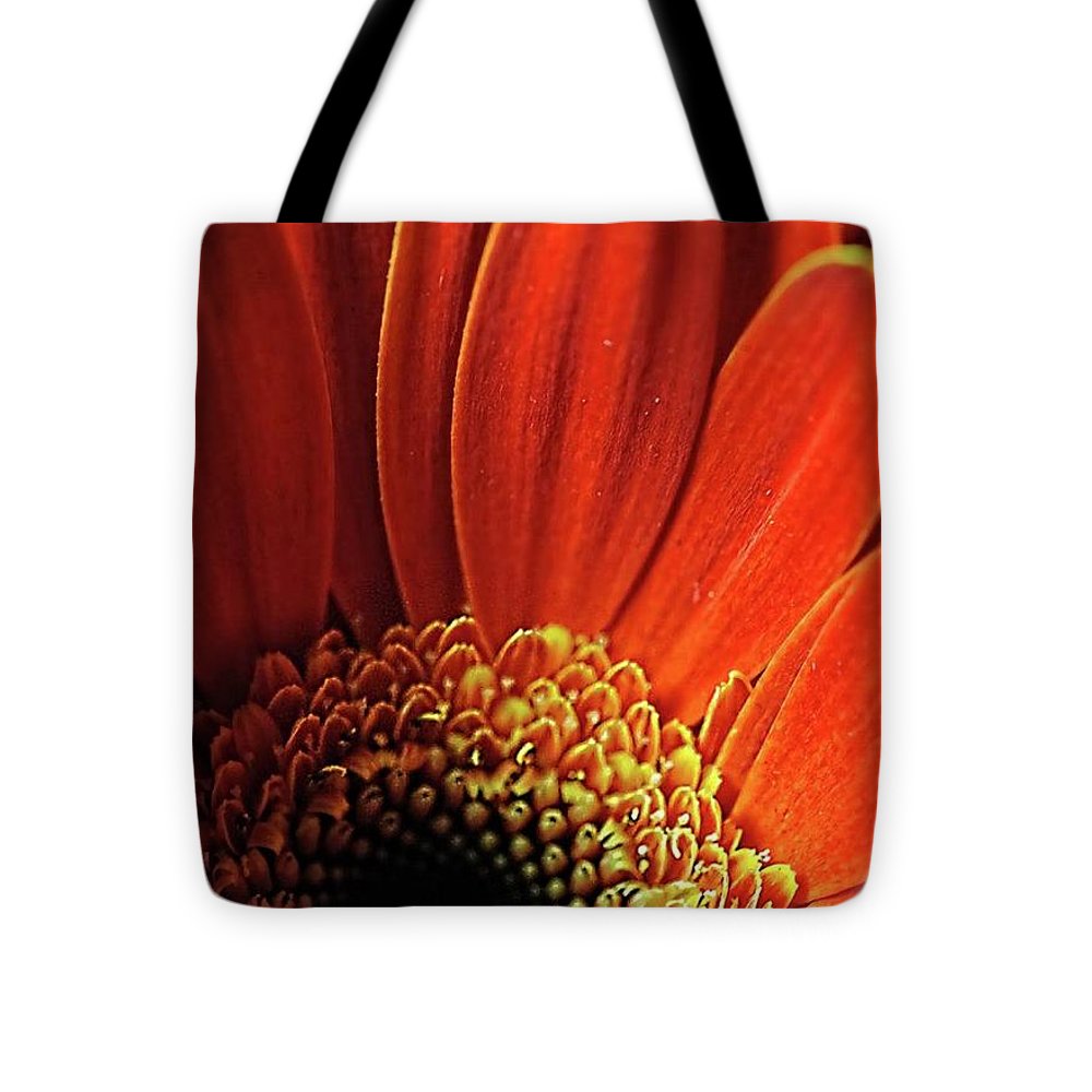 Orange Daisy Close Up - Tote Bag