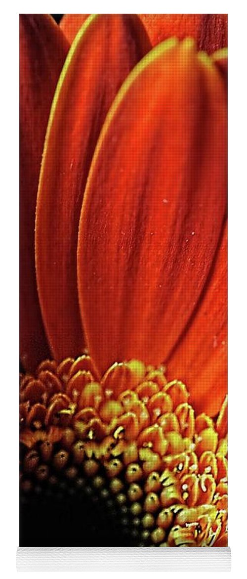 Orange Daisy Close Up - Yoga Mat