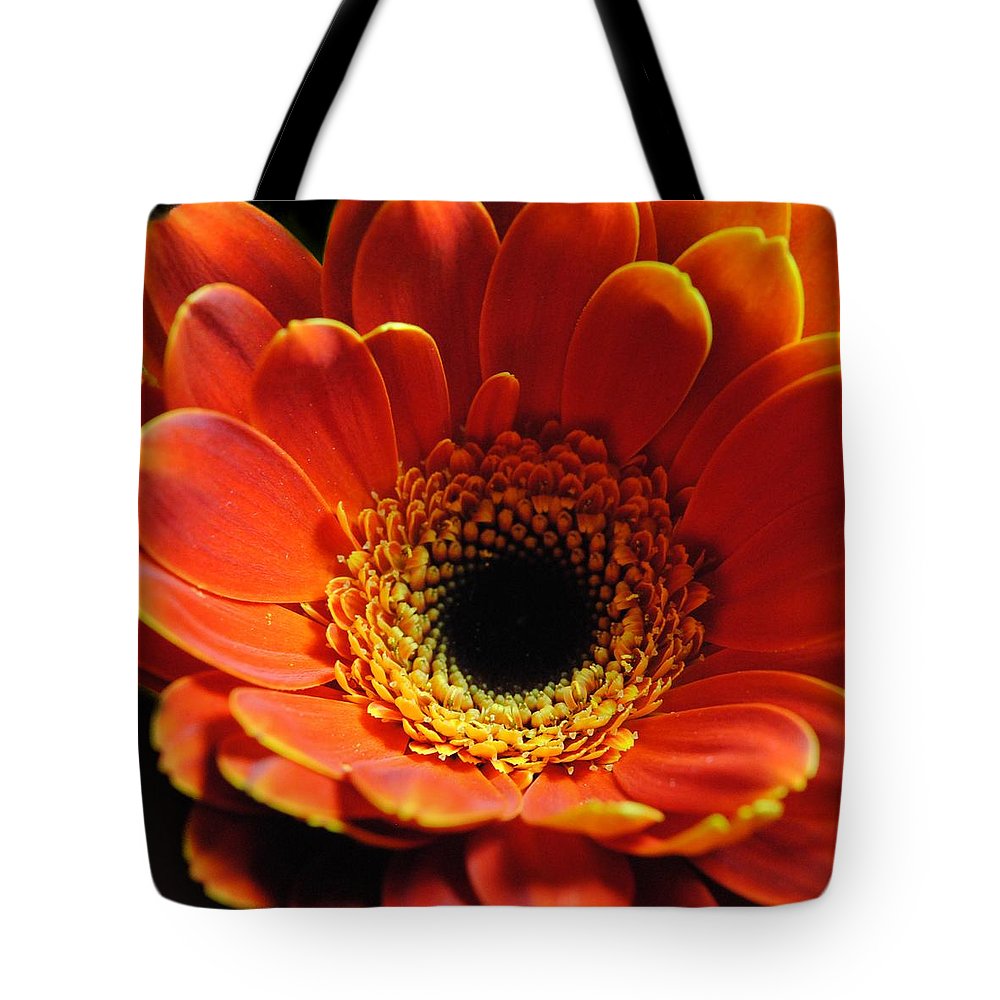 Orange Daisy On Black - Tote Bag